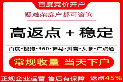 百度广告竞价策略解析与应用案例